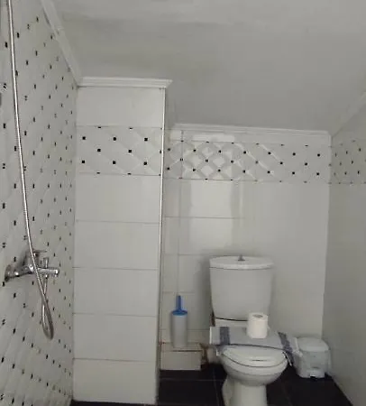 Bay * Πευκάρι