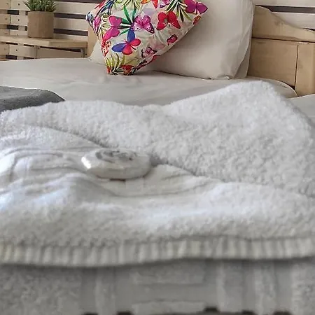 Bay Apartment